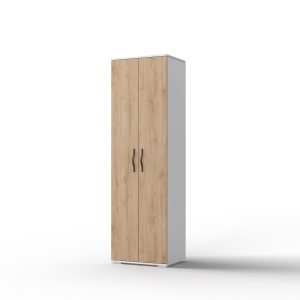 Шкаф для одежды «2Д Элана 2»