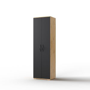 Шкаф для одежды «2Д Элана 2»